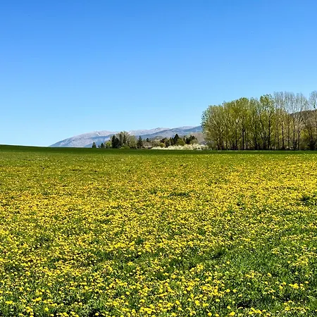 Refugio Cereta Naturaleza, Aventura Y Confort 아파트 라 몰리나